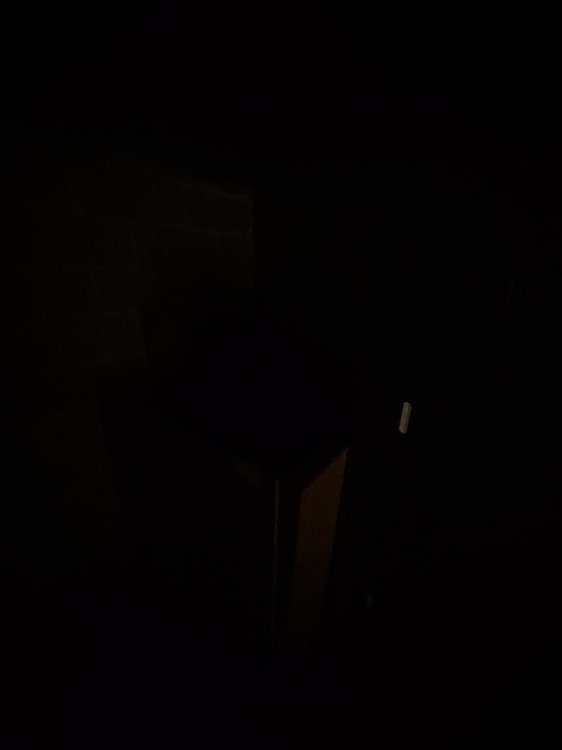 20200523_175214.jpg