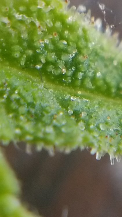 CM200502-145136014.jpg