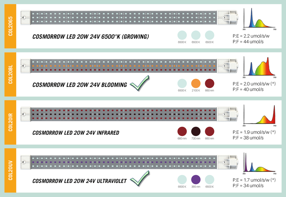 COSMORROW-PICTURE.thumb.png.e4ff8290c184b4e181c2c4596ad66b10.png