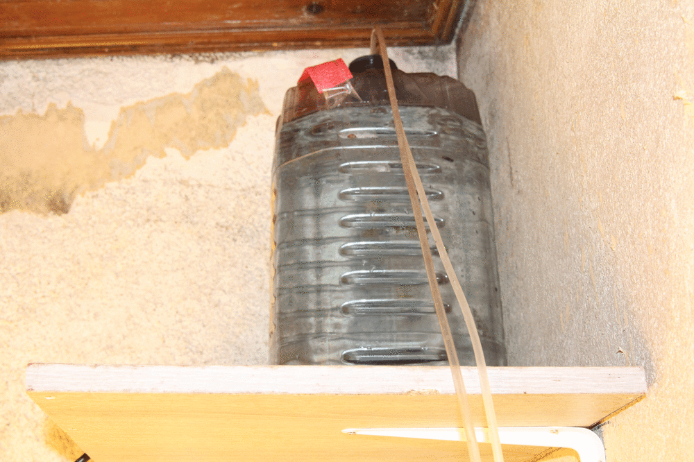IMG_0105.thumb.gif.d28ed932a60b7dcb24179d6c4aa66a30.gif