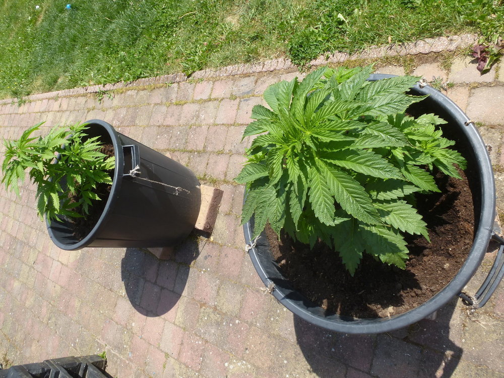 P1070200.JPG