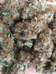 Lemon Critical 2.0 - Lamota