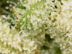 200520_210806_cleaned.jpg
