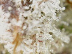 200520_210830_cleaned.jpg