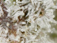 200520_210841_cleaned.jpg