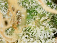 200520_211006_cleaned.jpg