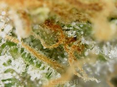 200520_211017_cleaned.jpg