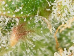 200520_211038_cleaned.jpg