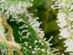 200520_211113_cleaned.jpg
