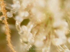 200530_201604_cleaned.jpg