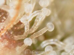 200530_201709_cleaned.jpg