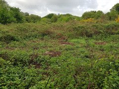 20200505_095353_compress80.jpg