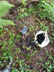 20200505_113007_compress48.jpg