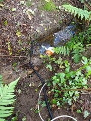 20200505_113012_compress73.jpg