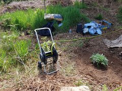 20200506_124642_compress0.jpg