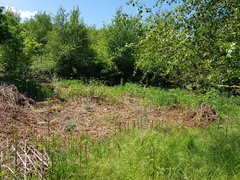 20200506_150718_compress28.jpg