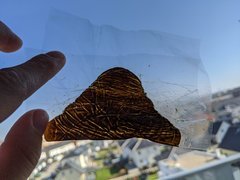 Ice Hash - 1 year old trim - 02.2020 - 73 micron