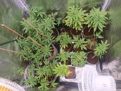 Départ veille de 11:30/12:30