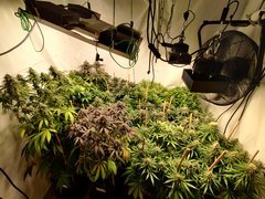 IMG_20200503_193801.jpg