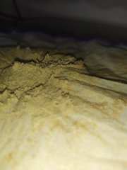IMG_20200509_152639.jpg