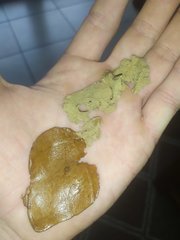 IMG_20200510_120130.jpg