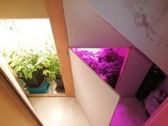IMG_20200518_215025.jpg