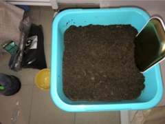 Mélange pour croissance (3.5L - Smartpot)