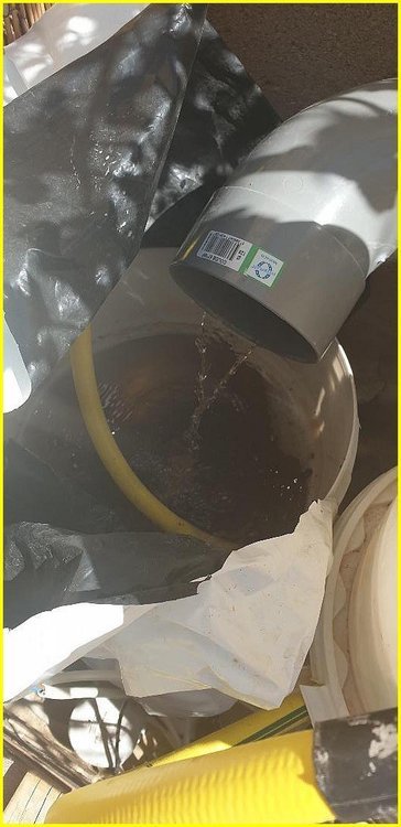cannaweed_2020_bioponie0002 - Copie.jpg
