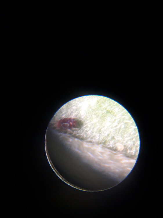 20200611_180316.jpg