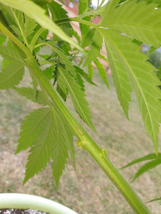 20200630_125722.jpg