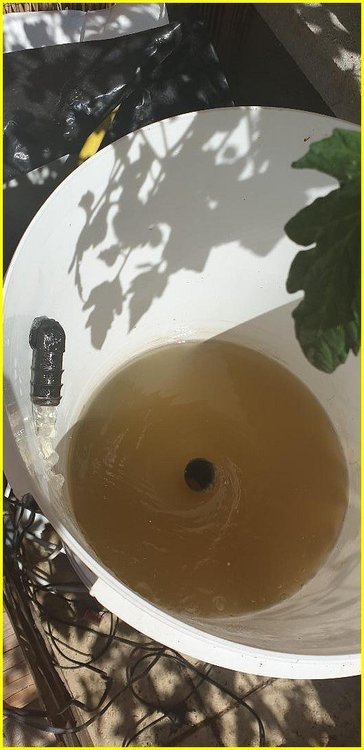 cannaweed_2020_bioponie0001 - Copie.jpg
