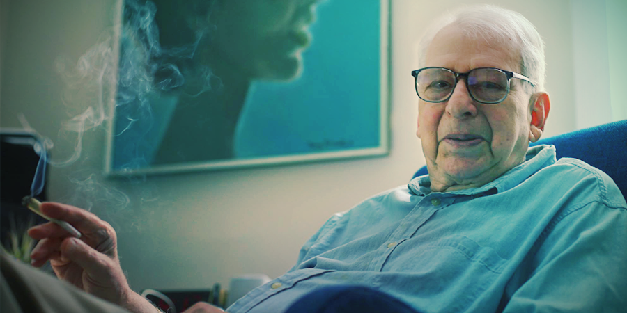 LESTER GRINSPOON.png