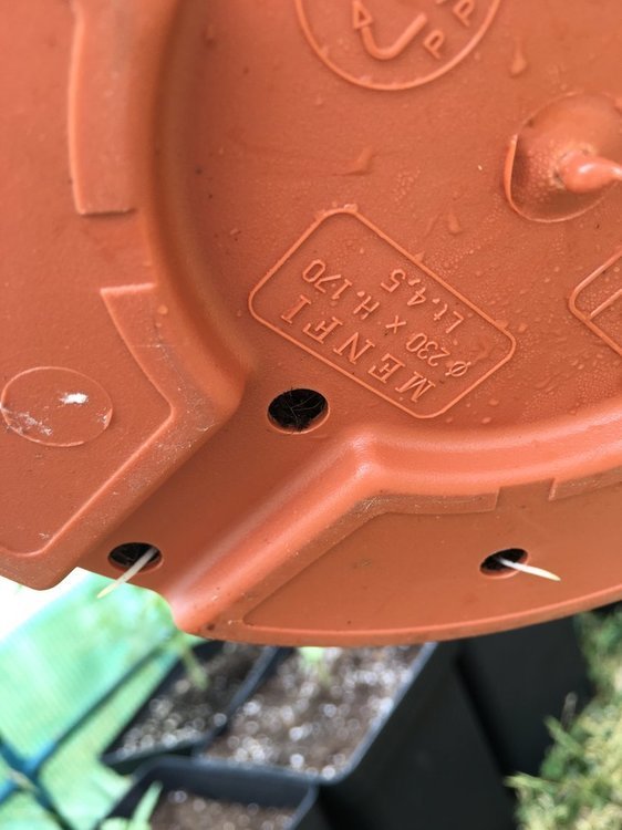 C63D8353-E635-481C-B896-5FE3BCEF586A.thumb.jpeg.56106a7fa417db0b21284de28ce91cec.jpeg