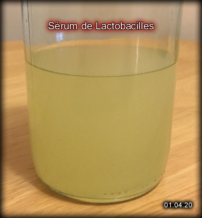 LAB6.png.f9f3ed388cf5f658bd3cdde3c37bb3e7.png