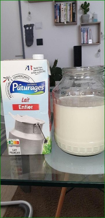 Lacto_cypriens_phase20006.jpg
