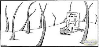 image.jpeg.6238d4e5f2a6ebe8eb66a191a0d6eb93.jpeg