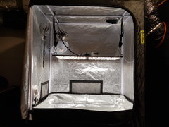 20200524_180008.jpg