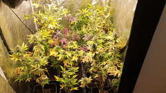 20200601_093435.jpg