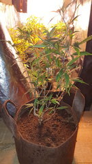 20200601_093617.jpg