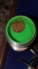 Animal cookie x dosidos
