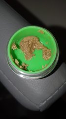 Animal cookie x dosidos