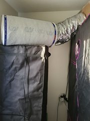 20200615_192741.jpg