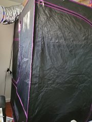 20200615_192955.jpg
