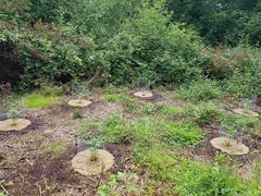 20200619_161018_compress2.jpg
