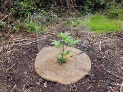 20200619_161103_compress61.jpg