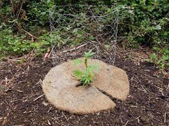20200619_161201_compress78.jpg
