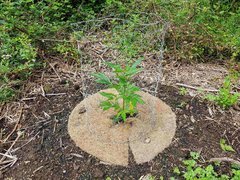 20200619_161301_compress27.jpg
