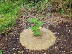 20200619_161323_compress29.jpg