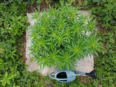 20200619_170733_compress73.jpg