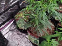 20200623_190641.jpg